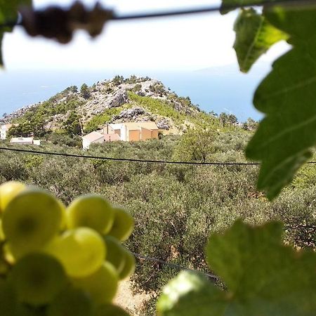 Apartment Ivo Veliko Brdo Makarska Zewnętrze zdjęcie