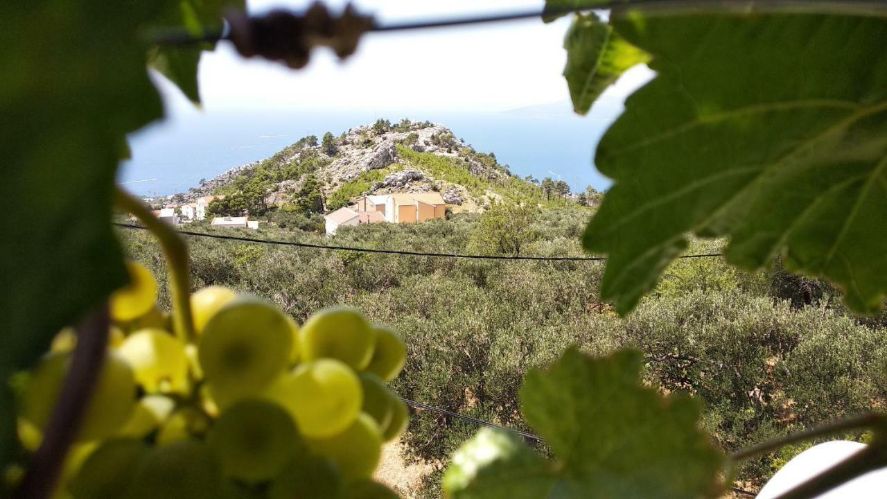 Apartment Ivo Veliko Brdo Makarska Zewnętrze zdjęcie